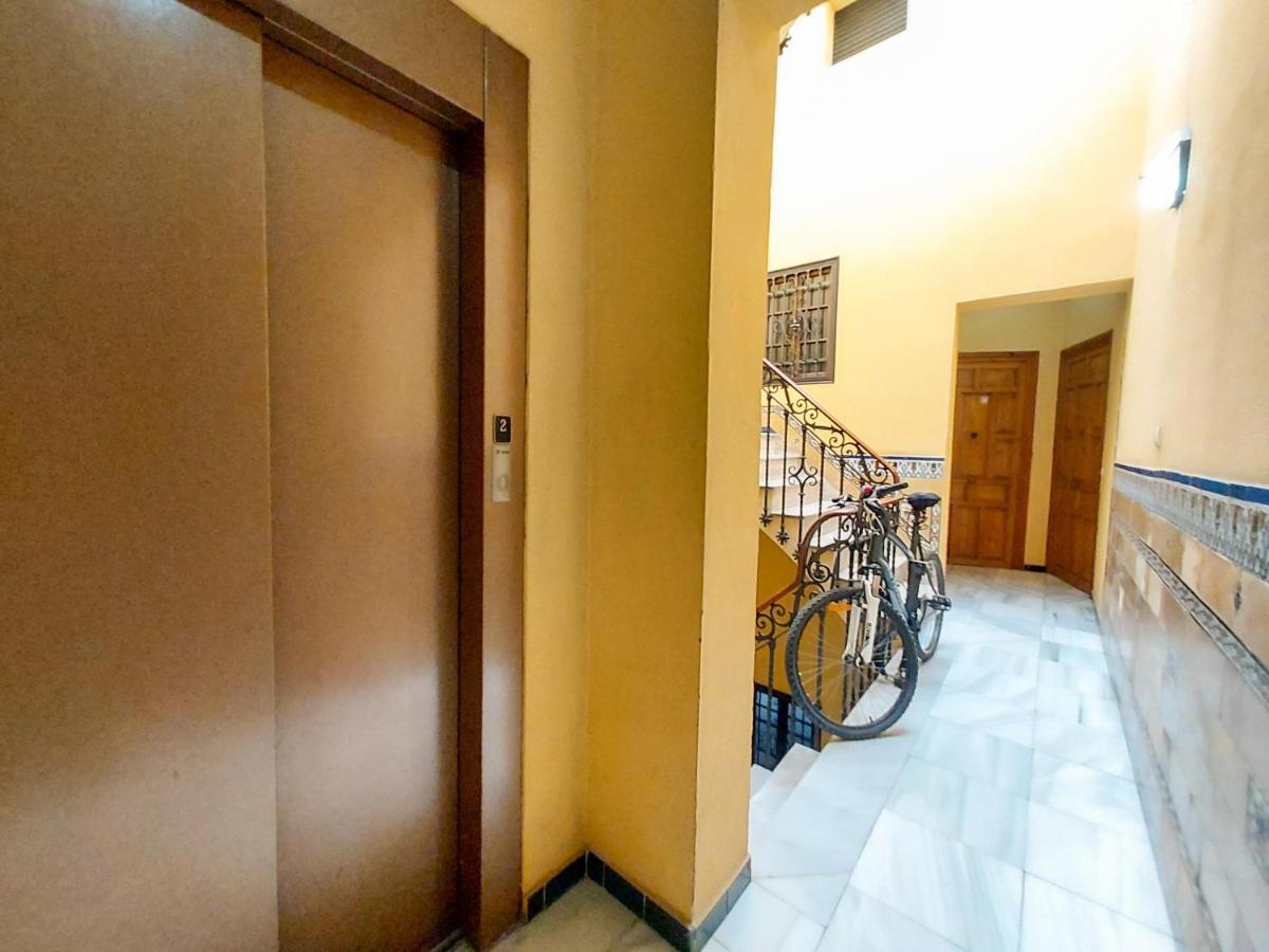 Apartamento Alameda Calatrava Σεβίλλη Εξωτερικό φωτογραφία